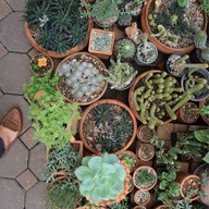 Rit Coffee House ศรีสองเมือง