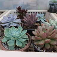 Rit Coffee House ศรีสองเมือง