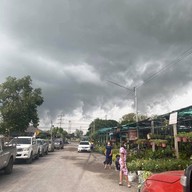 บรรยากาศ ตลาดต้นไม้โคกกรวด