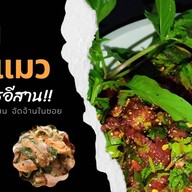 ร้านต้นแมว อาหารอีสาน