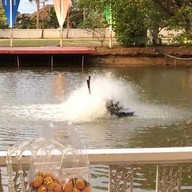 ปางหลวง การ์เด้น