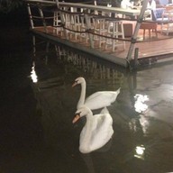 ปางหลวง การ์เด้น