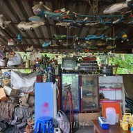 บรรยากาศ ก๋วยเตี๋ยวเจ้เรียม ติดวัดบางลี่