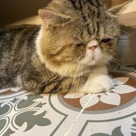 Afternoon Coffee House