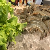 เจ้ปุ้มปลาทูแม่กลอง 100% ตลาดเทศบาลเมืองชุมพร