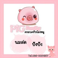 Pig Family ขนมปังสังขยา ปังปังไส้ทะลัก บางพลี