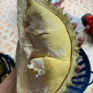 ทุเรียนหมอนทองน้องอันดา