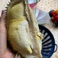 ทุเรียนหมอนทองน้องอันดา