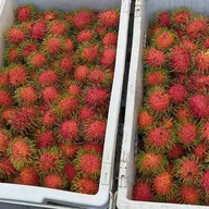 ผลไม้สดน้องปีใหม่&ฟ้าใส