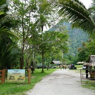 บรรยากาศ The Elephant Camp เขาสก