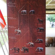 บรรยากาศ The Elephant Camp เขาสก