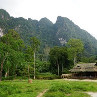บรรยากาศ The Elephant Camp เขาสก