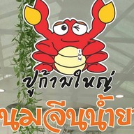 ปูก้ามใหญ่ สนามบินน้ำ