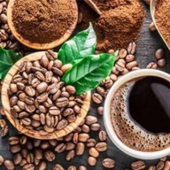 บลูเมาท์เทนคอฟฟี่สาขากัลปพฤกษ์สาทรสาทร