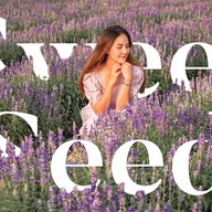 Sweet Seed บ้านเมล็ดหวาน