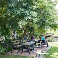 Freewill Natural Inspires