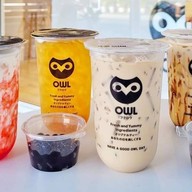 OWL CHA อาวน์ชา ชานกฮูก สตูล หัตถกรรมศึกษา