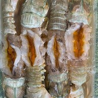 ครัวเจ้แมว