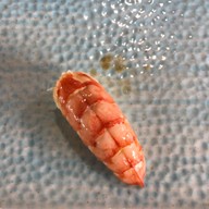 Mikha Japanese Restaurant