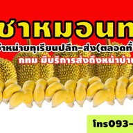 ราชาหมอนทอง(ทุเรียนทั้งปี)