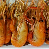 คนชอบกระเพรา