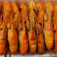 คนชอบกระเพรา