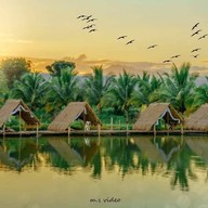 การ์เดน่า คาเฟ่ สวนมะพร้าว ไม่มีสาขา