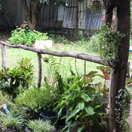 ร้านอาหารตามสั่ง+ข้าวเปียกเส้น