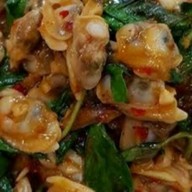 ตัวกลมอินดี้