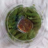 สาหร่ายพวงองุ่นbynana