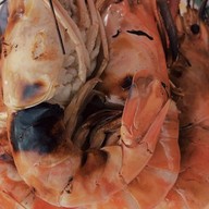 โอปป้า อีสานแซ่บ