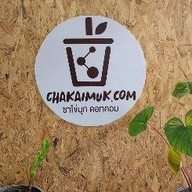 Tiny pop Chakaimuk .com 1