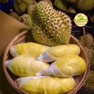 ราชาหมอนทอง(ทุเรียนทั้งปี)