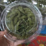 สาหร่ายพวงองุ่นbynana