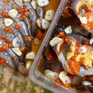 Camper Craft Camper Craft