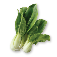 เมนูของร้าน Shabushi เซ็นทรัล ลาดพร้าว