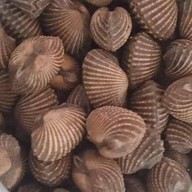 ตลาดเจ้าพระยาแลนด์