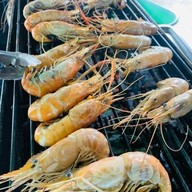 ร้านจังโก้ เชียงใหม่