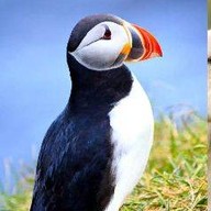 แซ่บแน่ อีสาน & จิ้มจุ่ม ร้านแสนแซ่บ