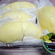 ทุเรียนคุณจ๋า(ผลไม้ตามฤดูกาล)