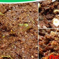 ครัวหลังบ้านbyหนึ่ง