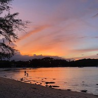 Honey Seafood Restaurant | Samui Island