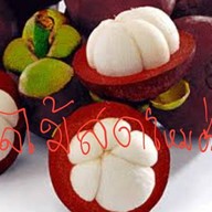 ซกเล็กยโส (ครัวป้าไหม) ช่องสาริกา