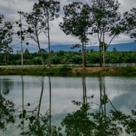 บรรยากาศ สวนสาธารณะสระน้ำหนองหอย