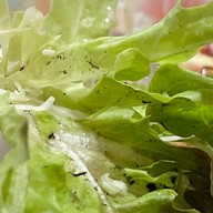 อาริกาโต้