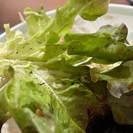 อาริกาโต้