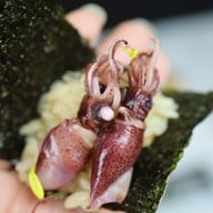 เมนูของร้าน ISAMU SUSHI Att U Park Bangna Km.12