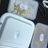 ที.สพูน (ร้านนม)