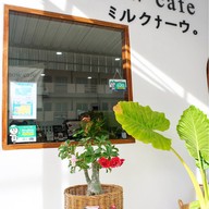MilkNow Cafe