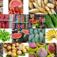 ร้านกวิตา 1